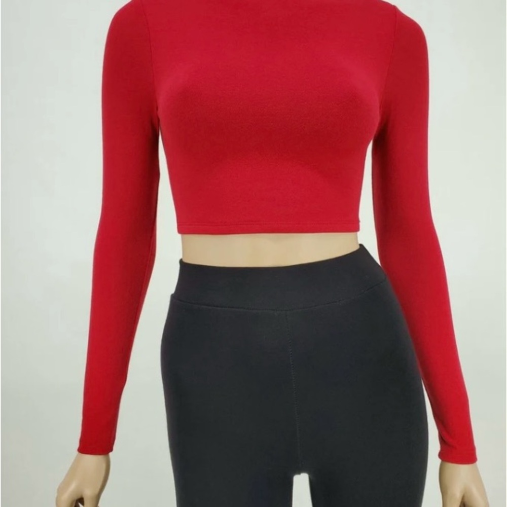 Gym Diary Red Long Sleeve Crop Top
